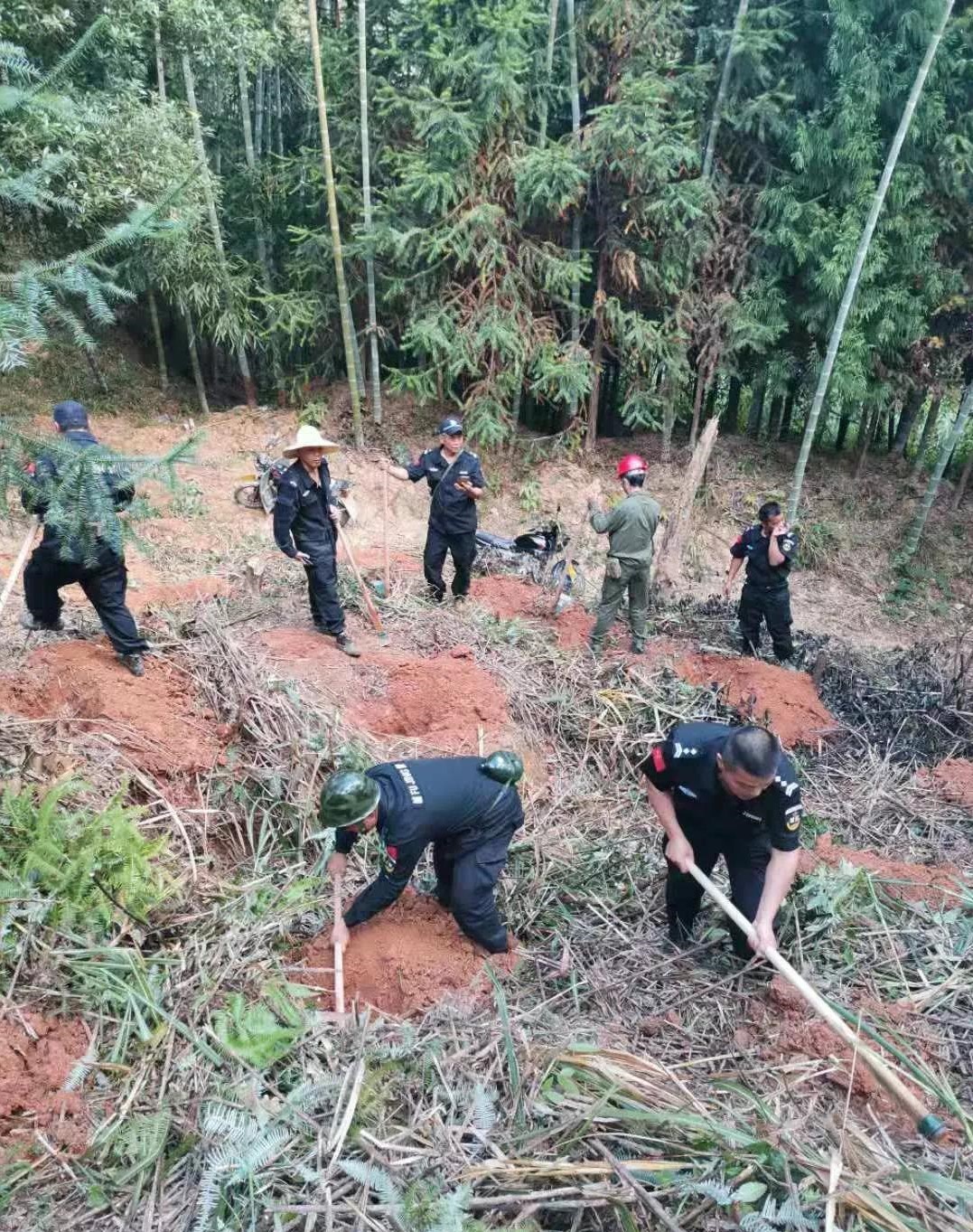 干好每一天|青山掛白我復(fù)綠，無私奉獻金森人——資源保護部義務(wù)突擊隊工作記實