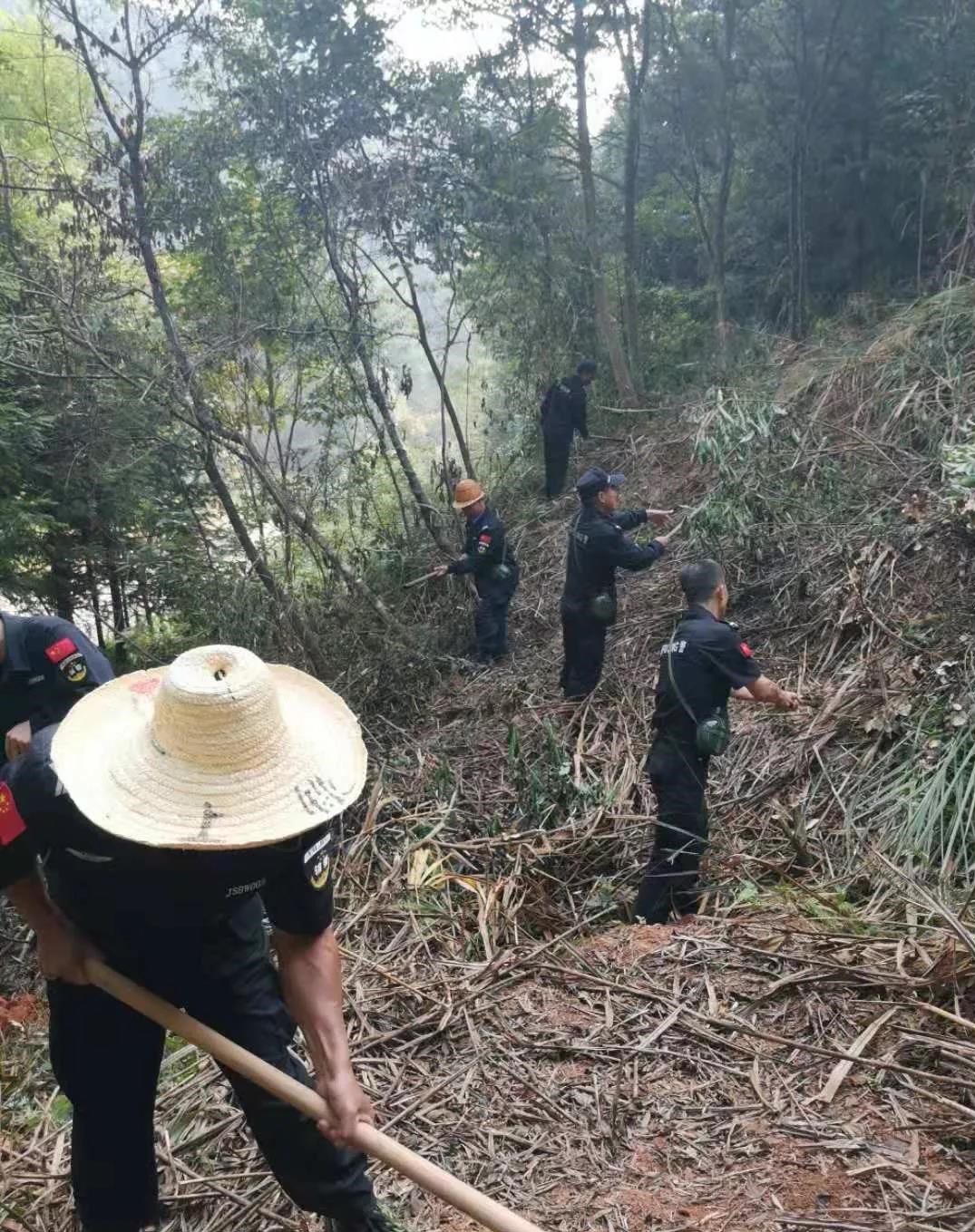 干好每一天|青山掛白我復(fù)綠，無私奉獻金森人——資源保護部義務(wù)突擊隊工作記實