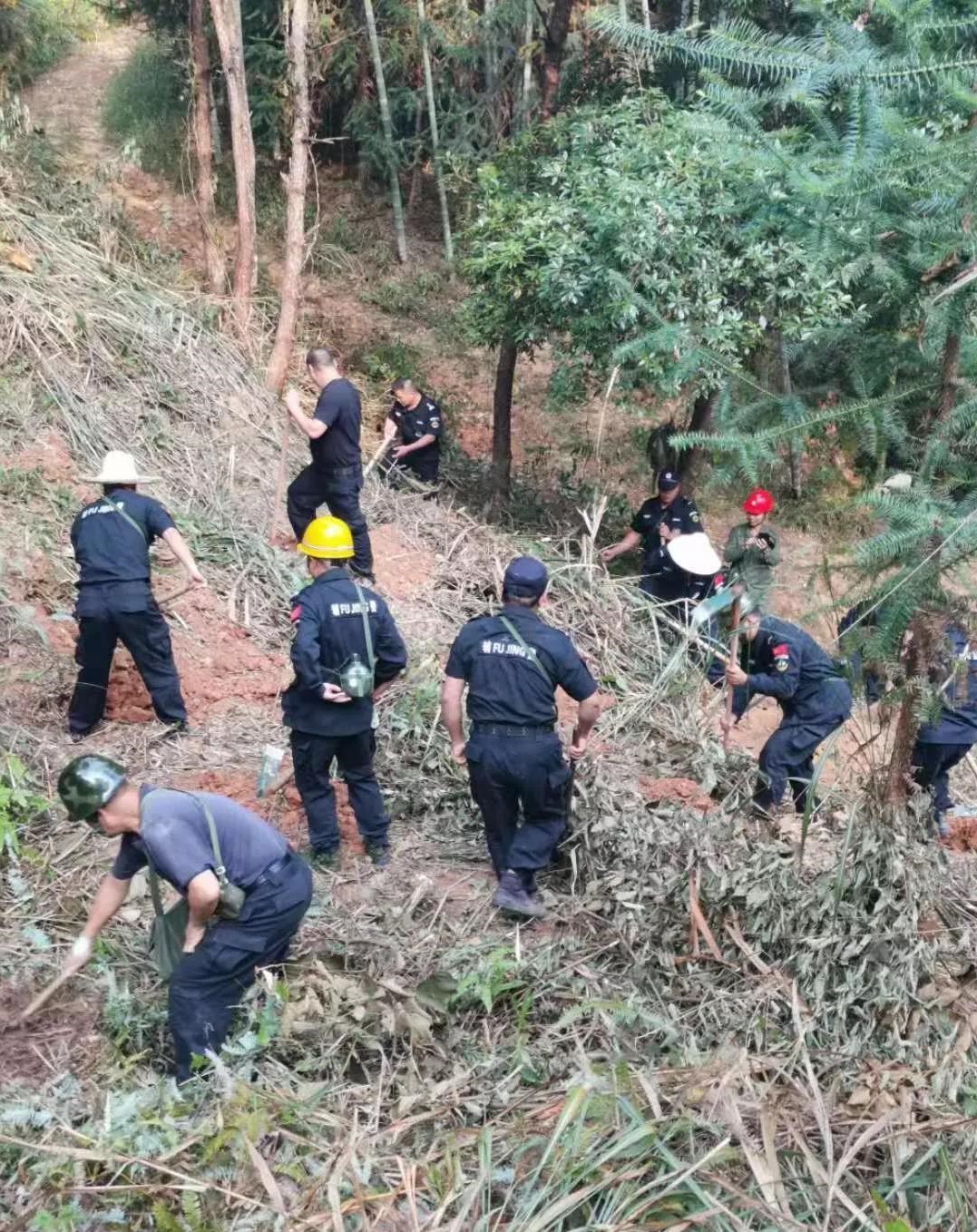 干好每一天|青山掛白我復(fù)綠，無私奉獻金森人——資源保護部義務(wù)突擊隊工作記實