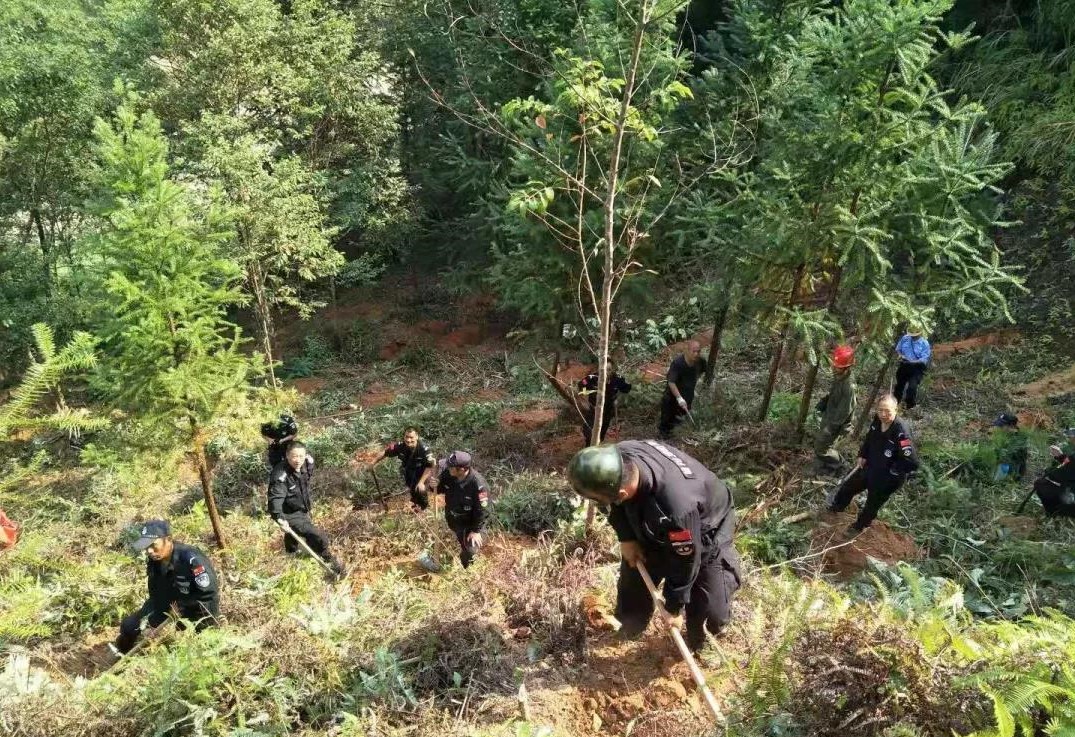 干好每一天|青山掛白我復(fù)綠，無私奉獻金森人——資源保護部義務(wù)突擊隊工作記實