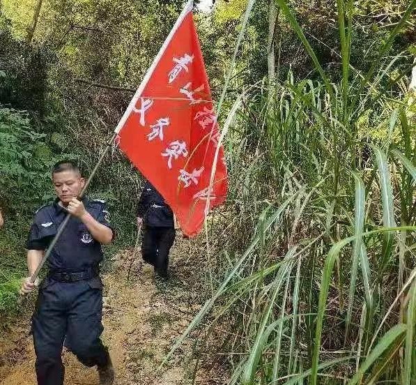 干好每一天|青山掛白我復(fù)綠，無私奉獻金森人——資源保護部義務(wù)突擊隊工作記實