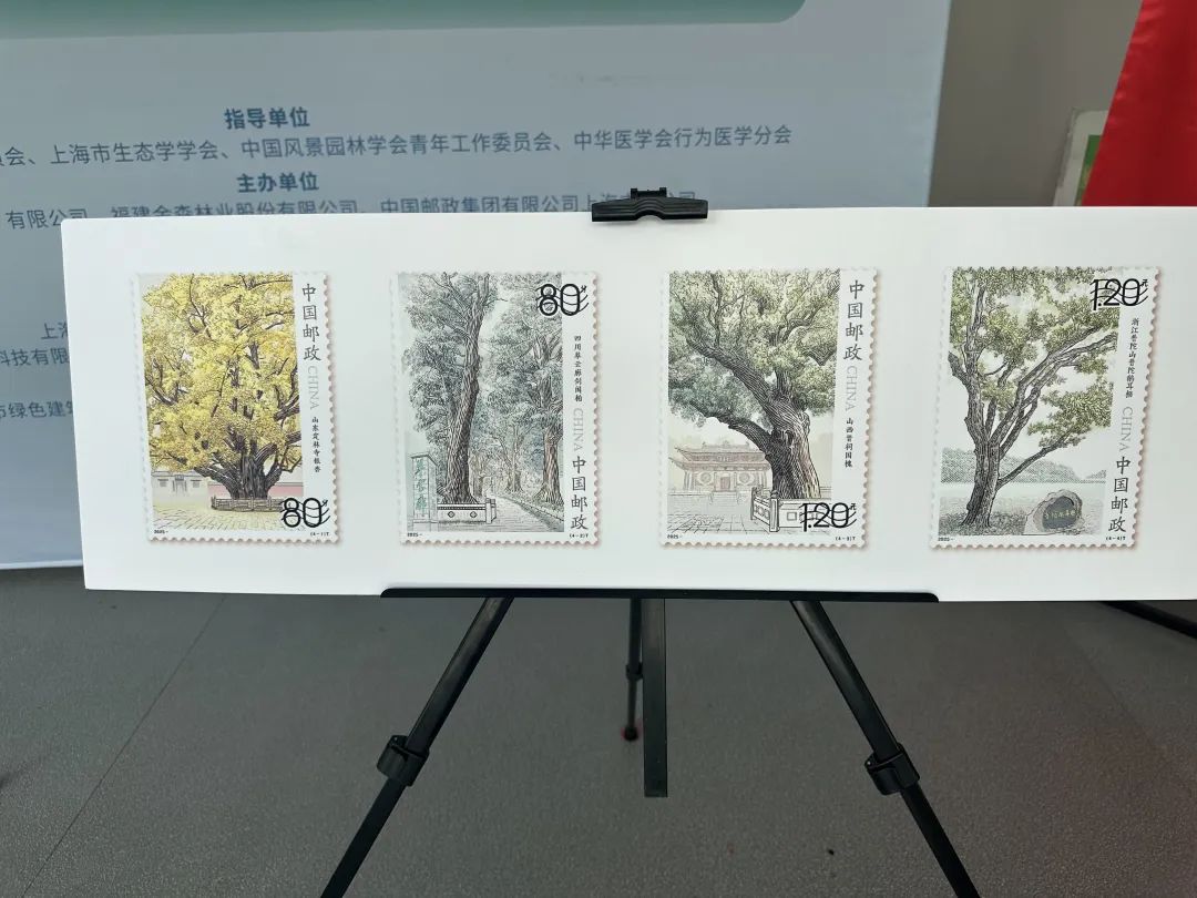 全國(guó)生態(tài)日來(lái)了！福建金森攜手舉辦上海“山海同普·杏好有你”活動(dòng)